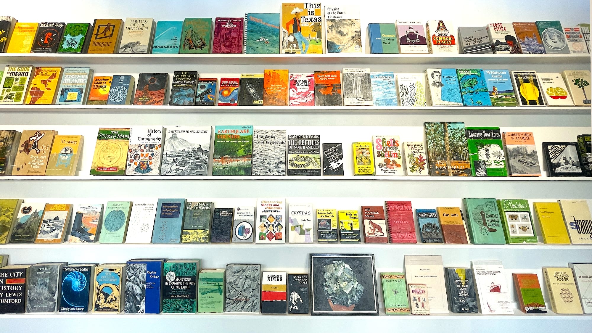 a collection of wooden and painted book sculptures by Conrad Bakker face out on a wall