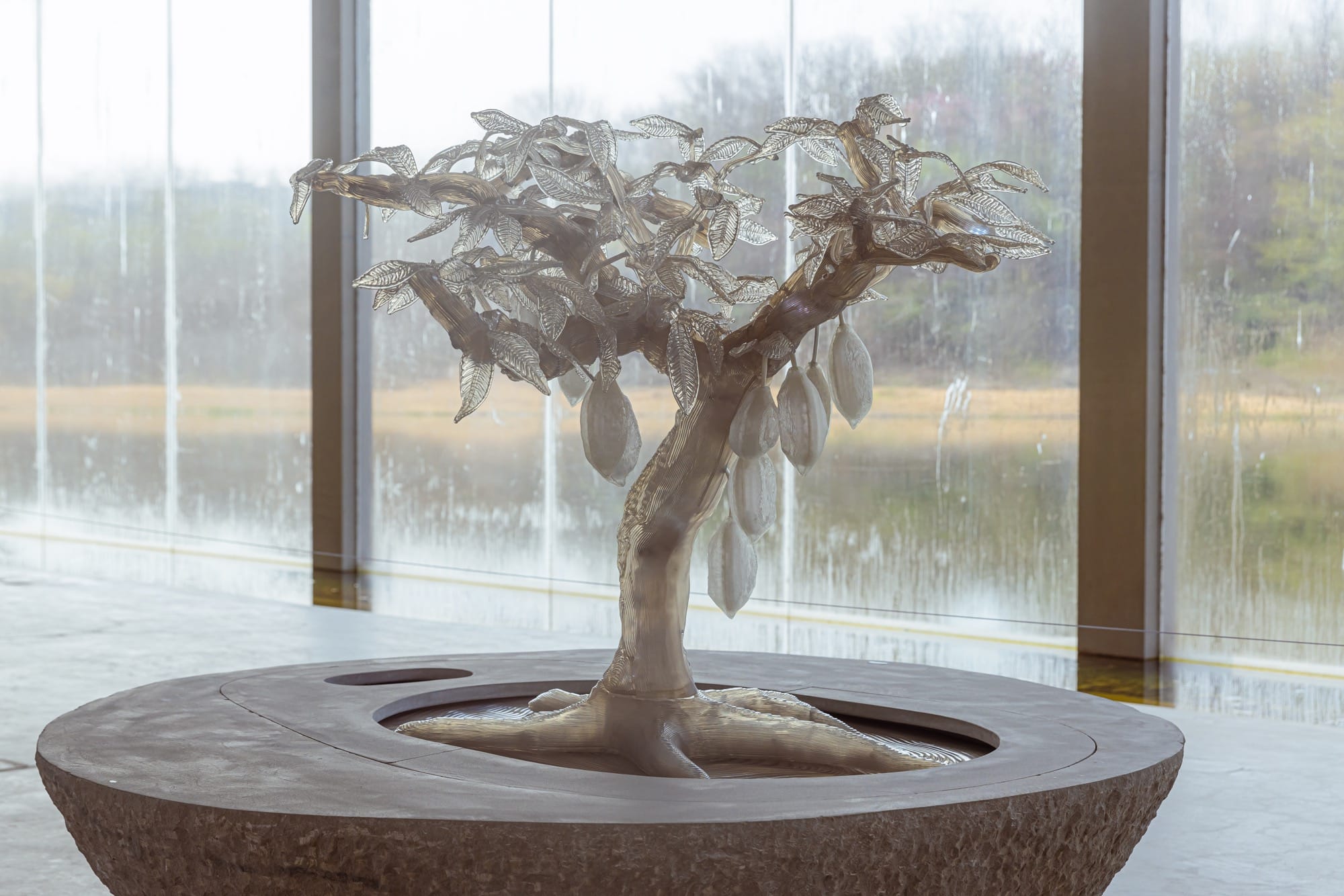 a sculpture of a clear, illuminated cacao tree