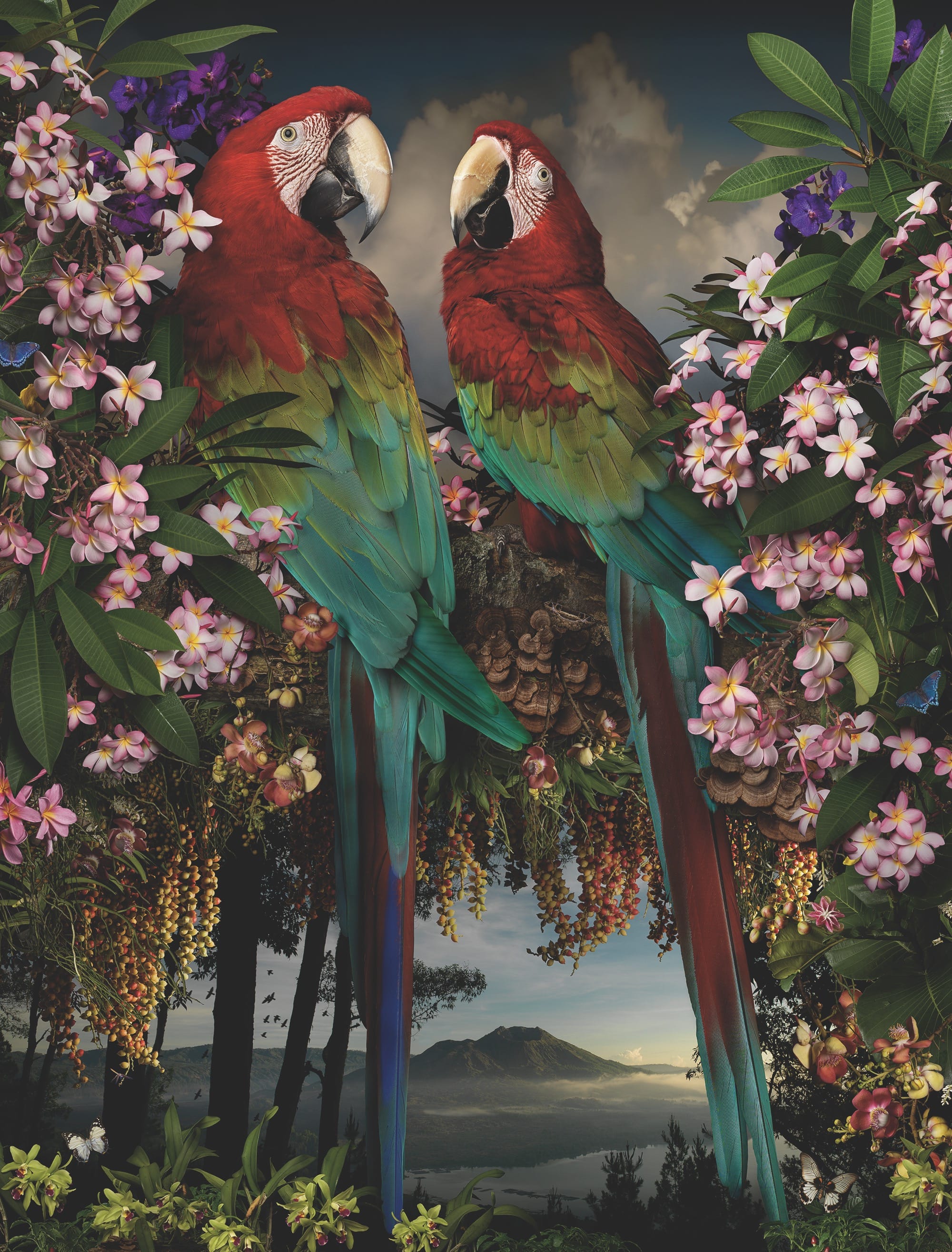 a photo by Joseph McGlennon of two parrots amid pink flowers