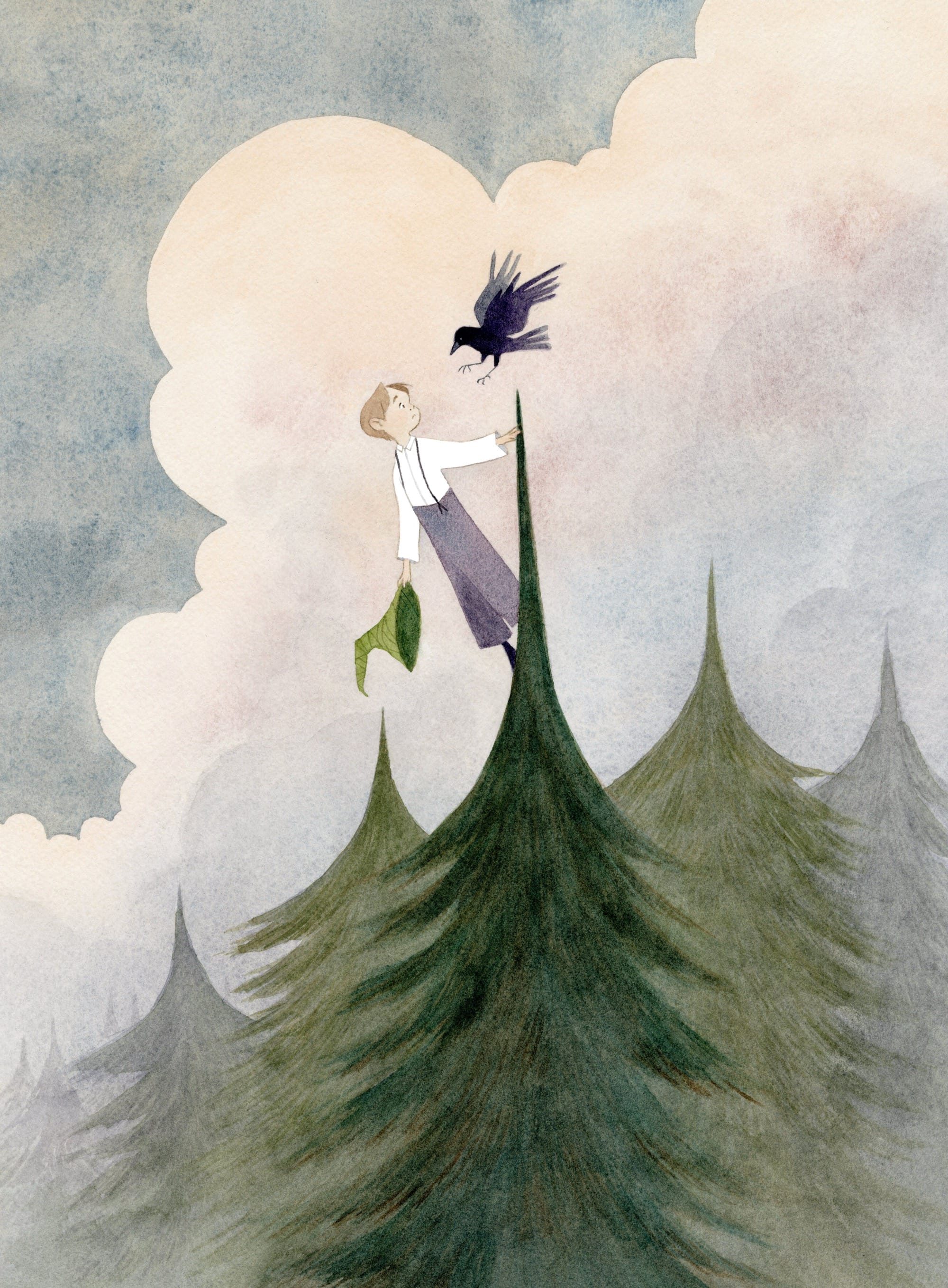 a watercolor illustration by Vanessa Gillings of a young boy hanging off the top of an evergreen tree, greeted by a raven