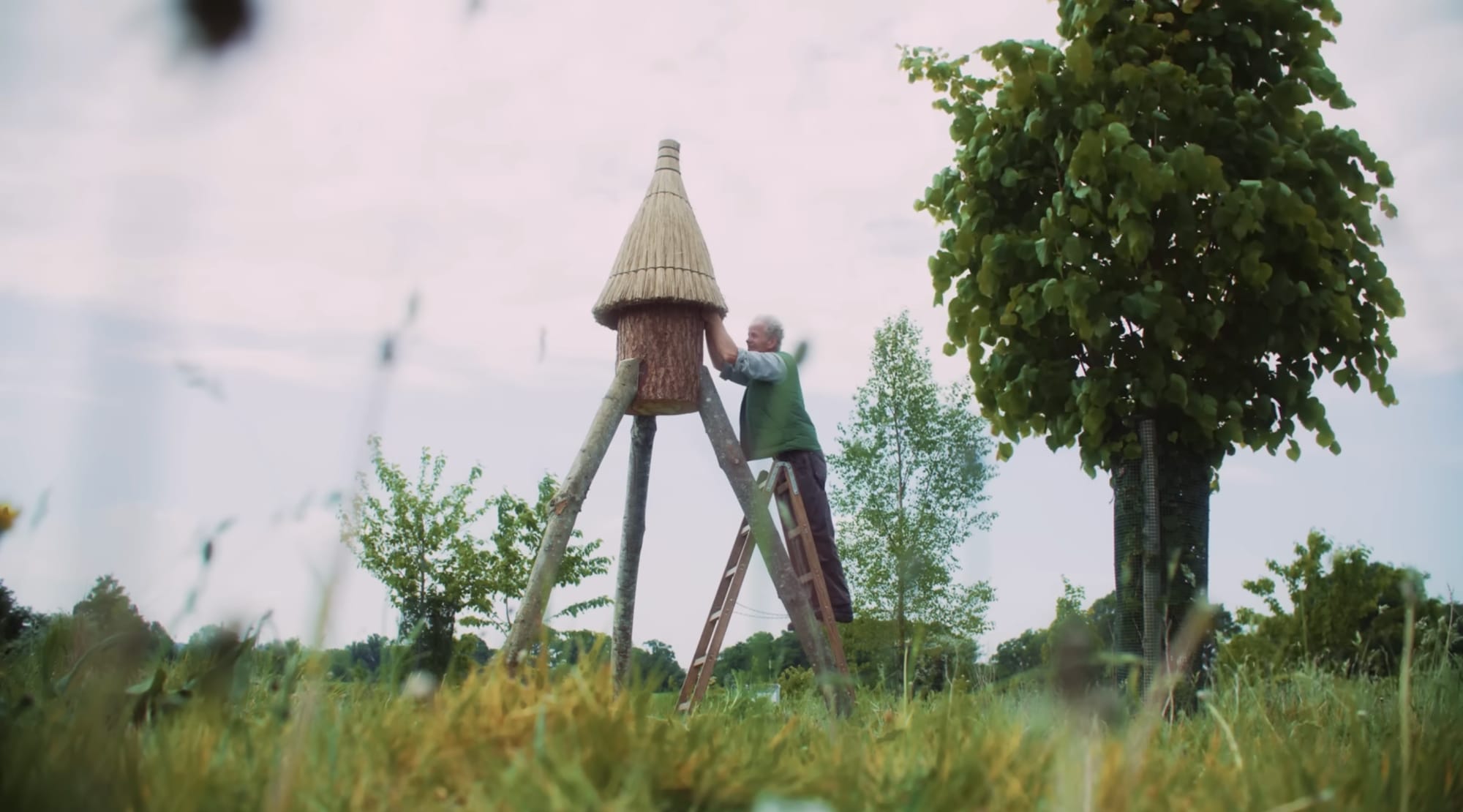 a white man with gray hair touches a wood hive