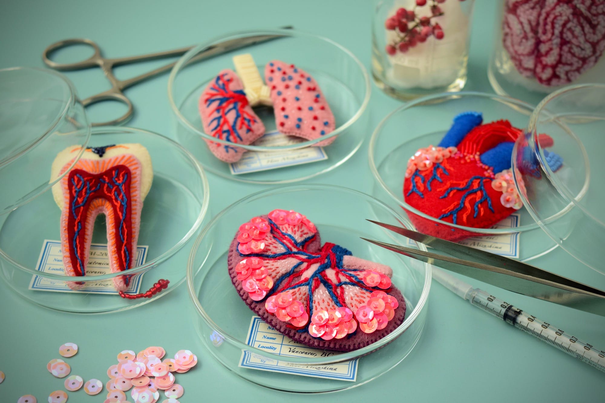 a group of felted brooches, sitting in petri dishes, in the shape of anatomical organs