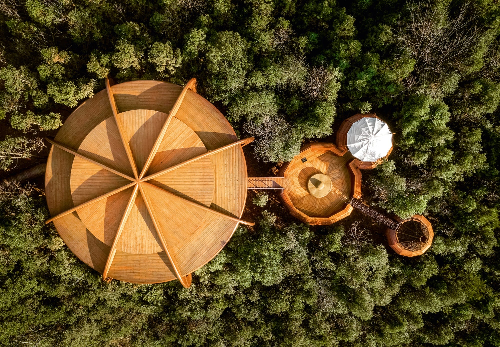 an aerial view of a modern treehouse in a forest