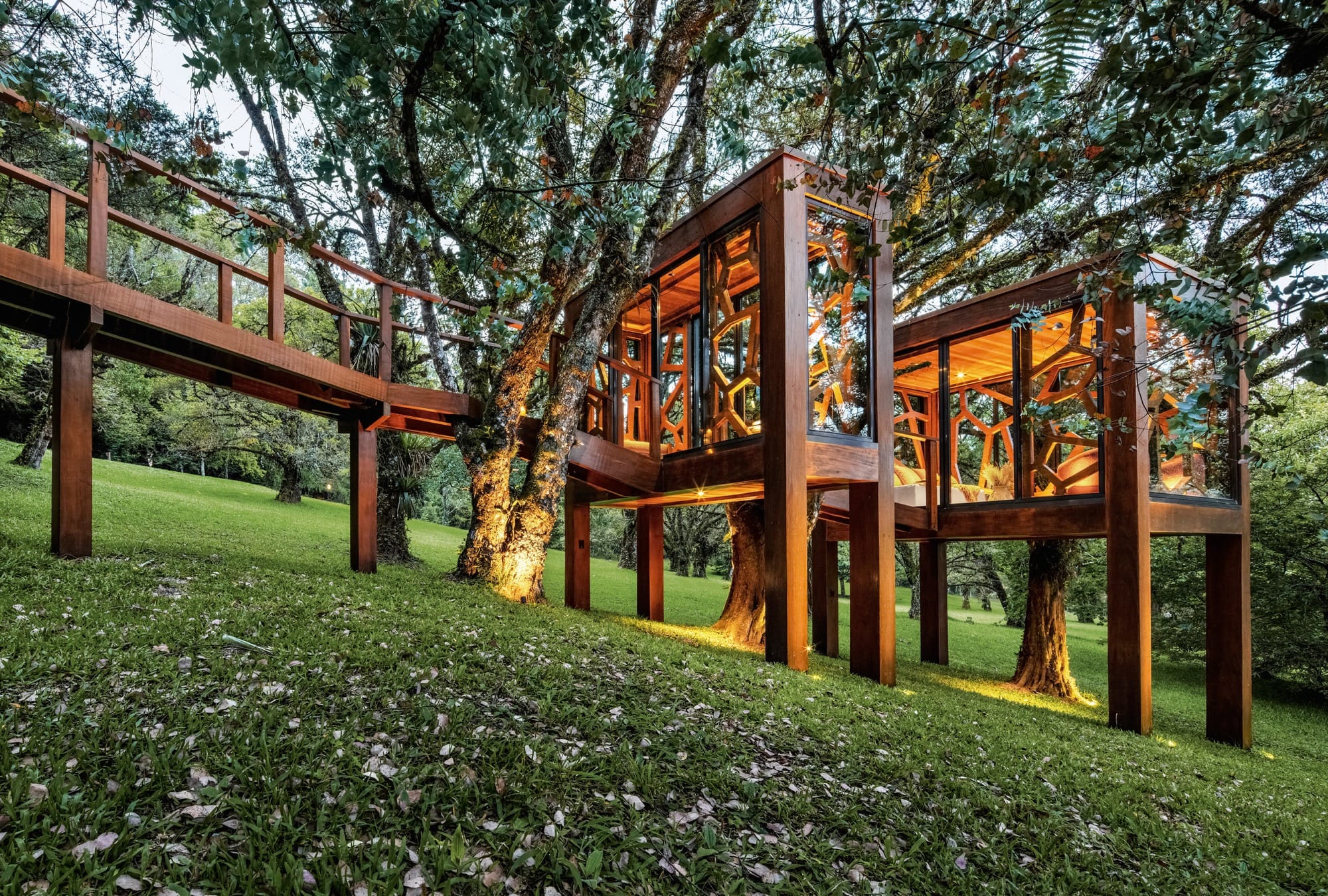 a modern treehouse in a forest